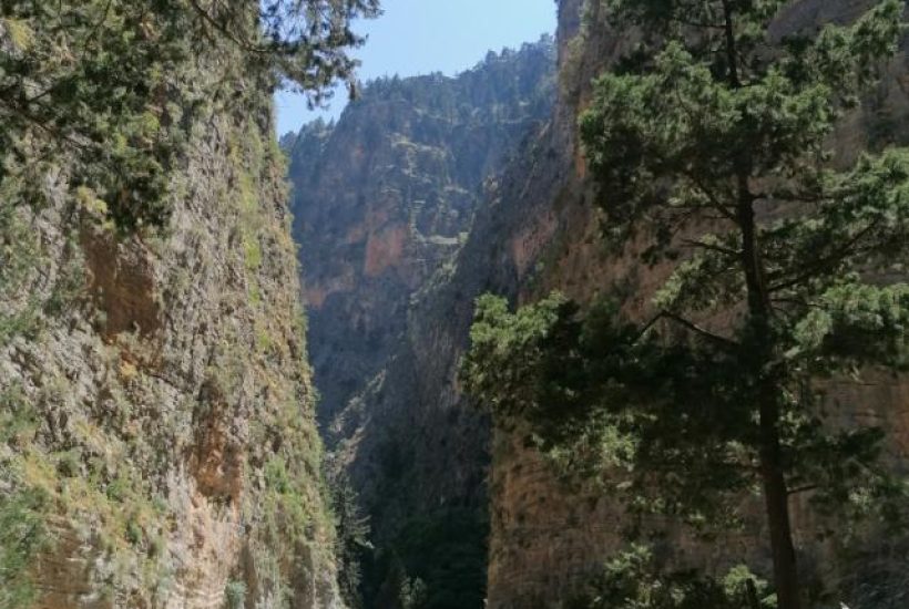 samaria 4 samaria 4