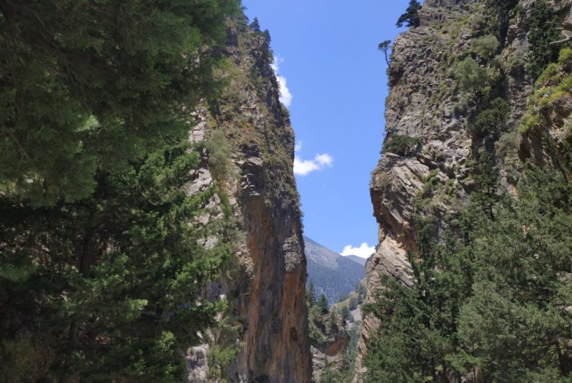 samaria samaria